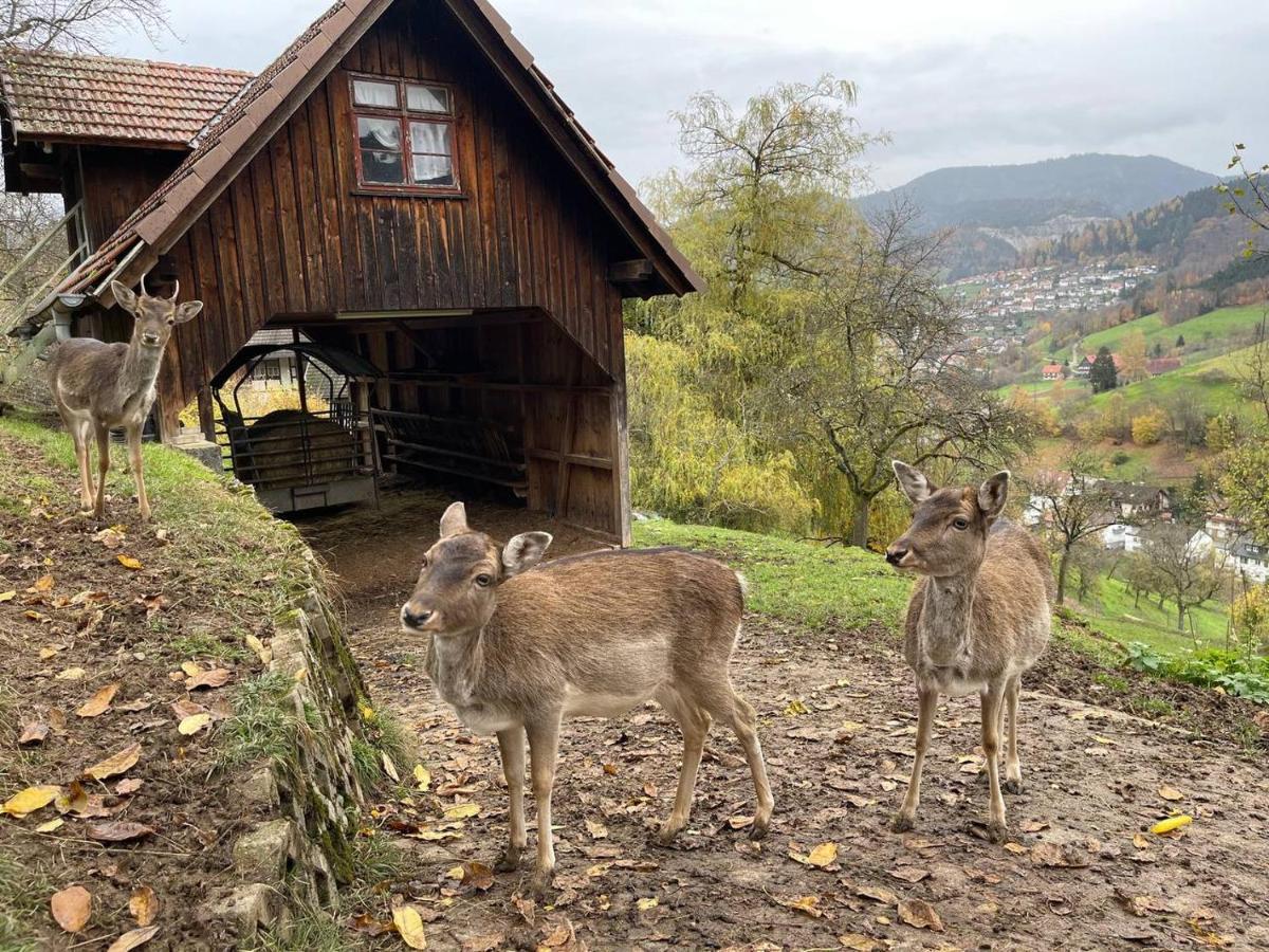 Einzigartiges Apartment, Mitten In Der Natur Ottenhofen im Schwarzwald Ngoại thất bức ảnh