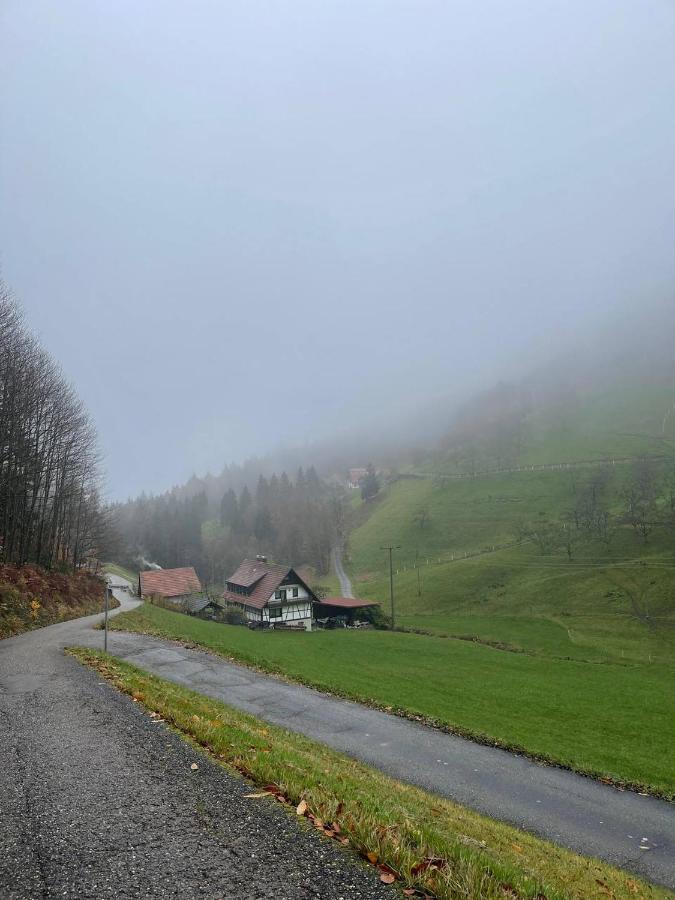 Einzigartiges Apartment, Mitten In Der Natur Ottenhofen im Schwarzwald Ngoại thất bức ảnh