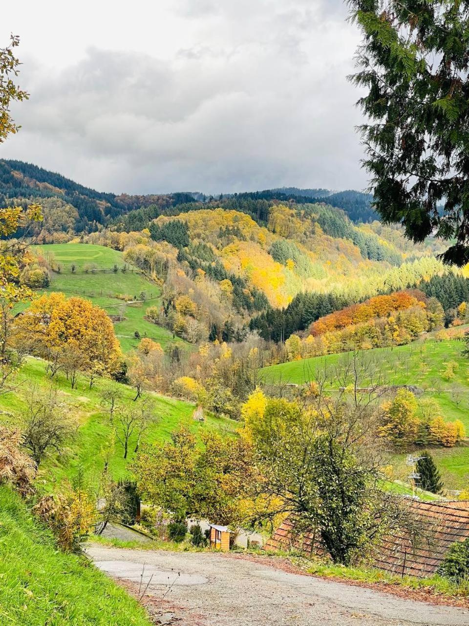 Einzigartiges Apartment, Mitten In Der Natur Ottenhofen im Schwarzwald Ngoại thất bức ảnh